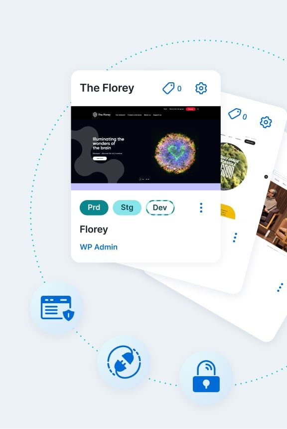 Graphic depicting WP Engine's portal elements and tool icons